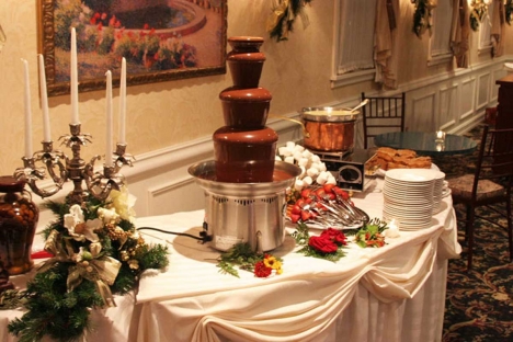 Amazing Gourmet Chocolate Fountain Catering Station