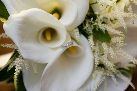 Beautiful Wedding Rings On Flowers
